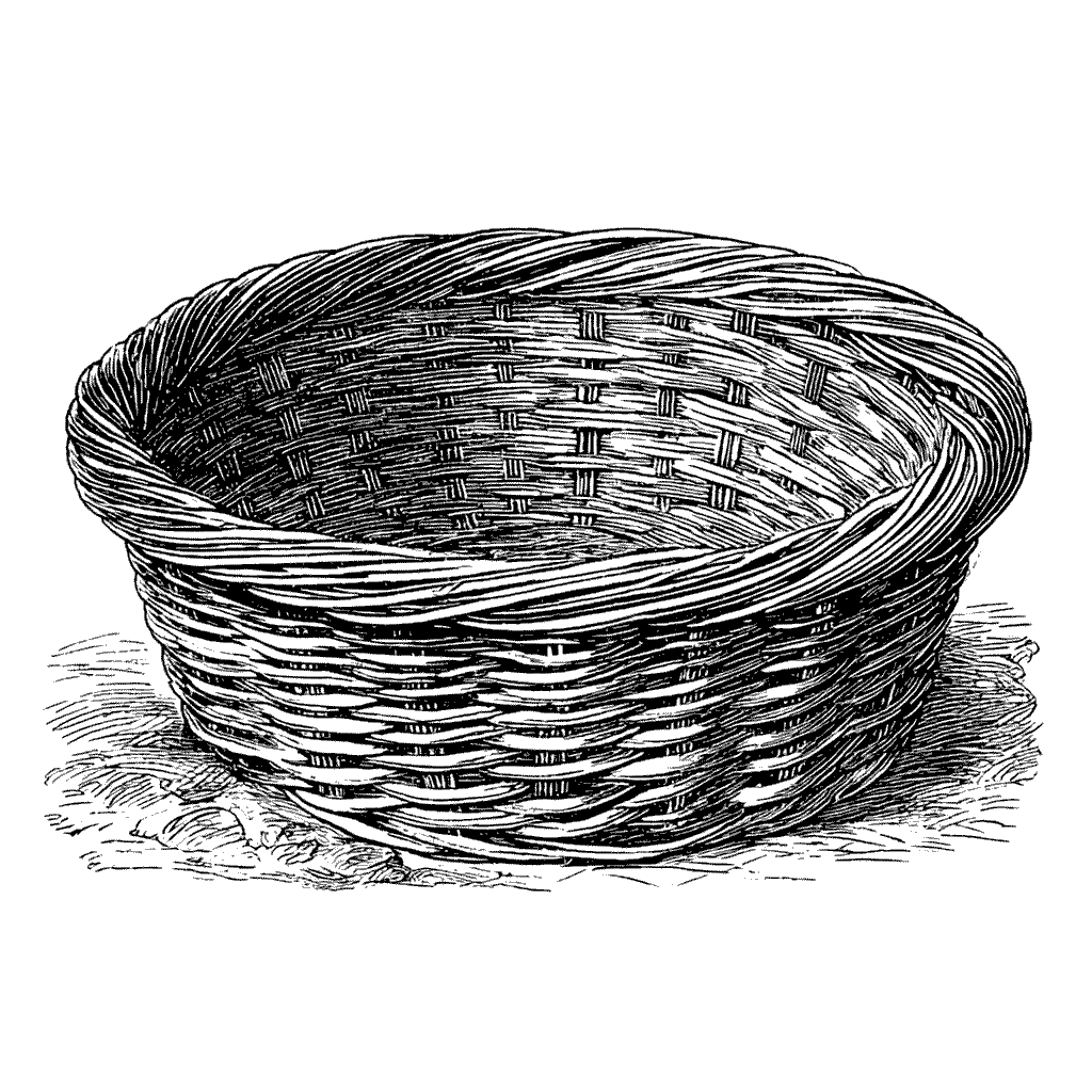 Quelques brins de saule suffisent à tresser un panier du quotidien.