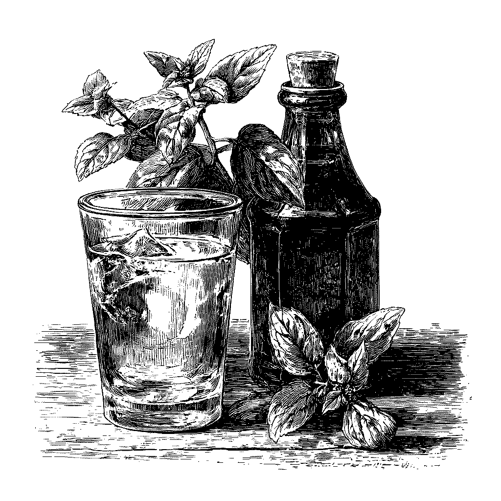 Illustration d'une sirop de menthe