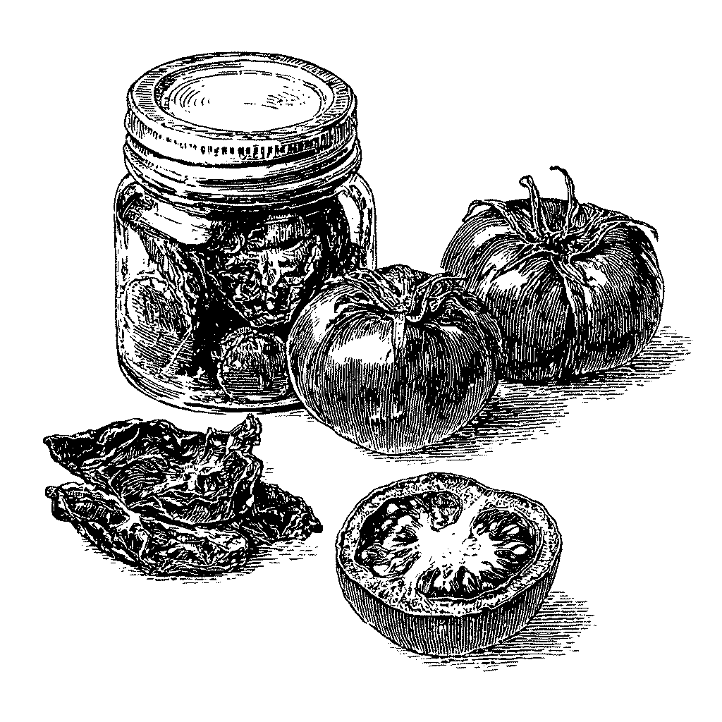 Illustration de tomates séchées