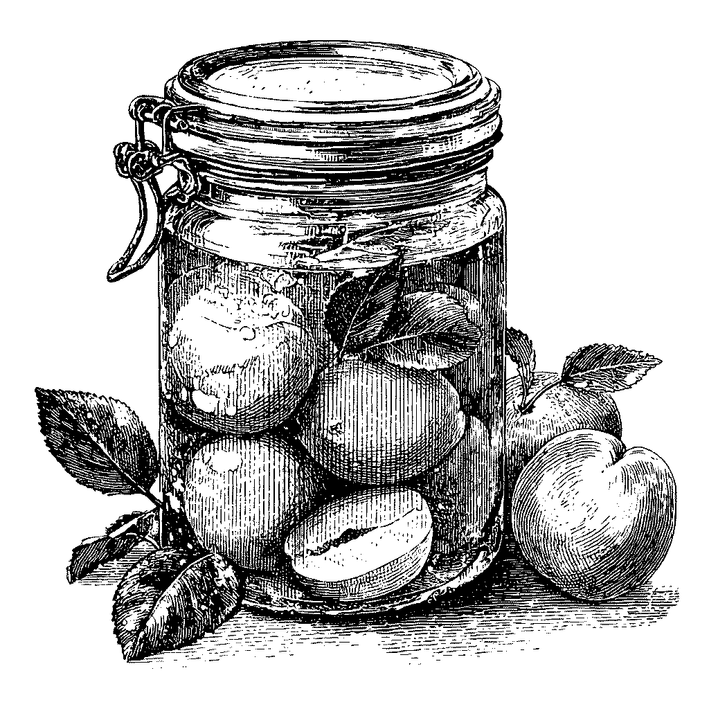 Illustration d’un bocal d’abricots au sirop