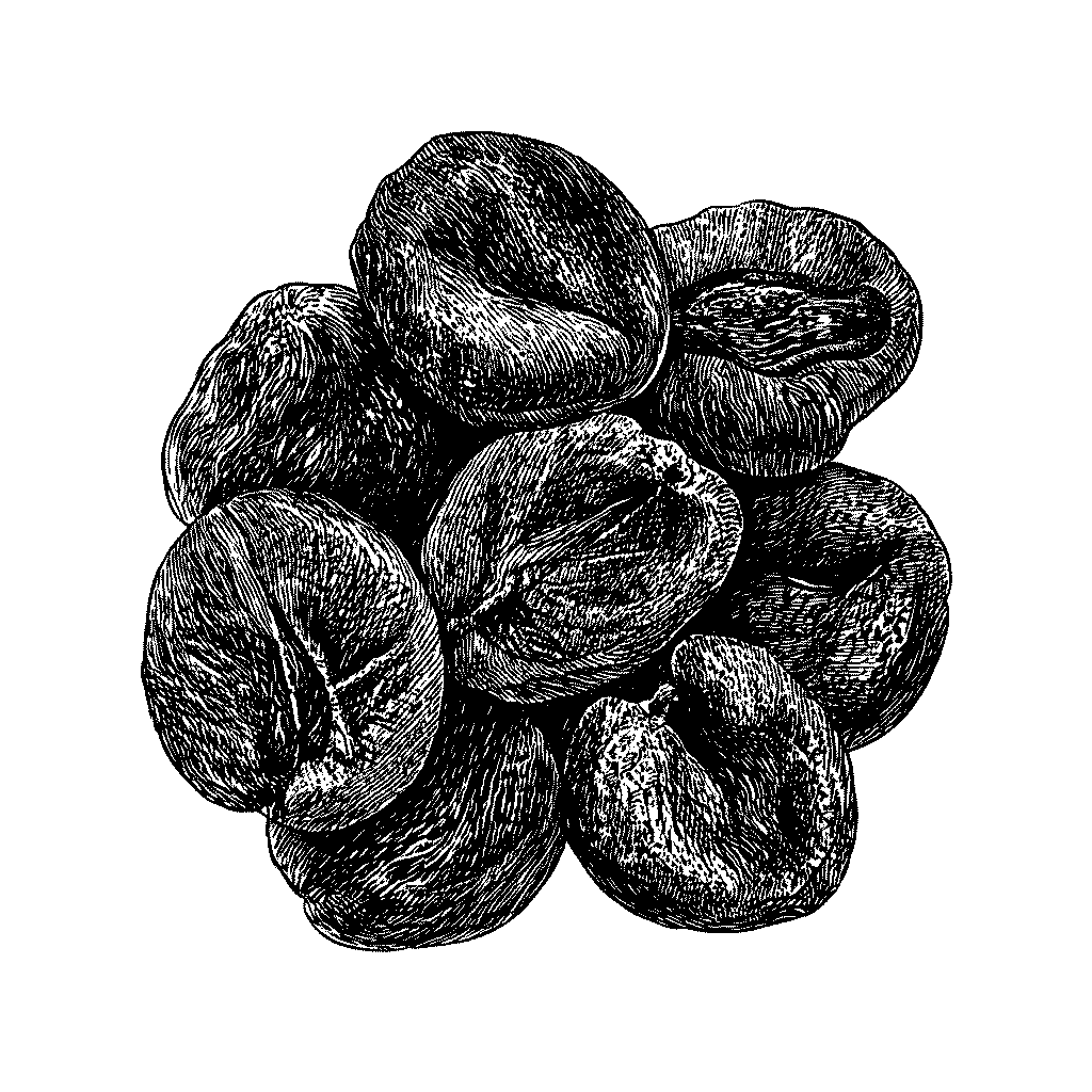 Illustration d’abricots secs dans un bol