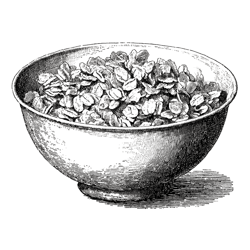 Illustration de flocons de châtaignes