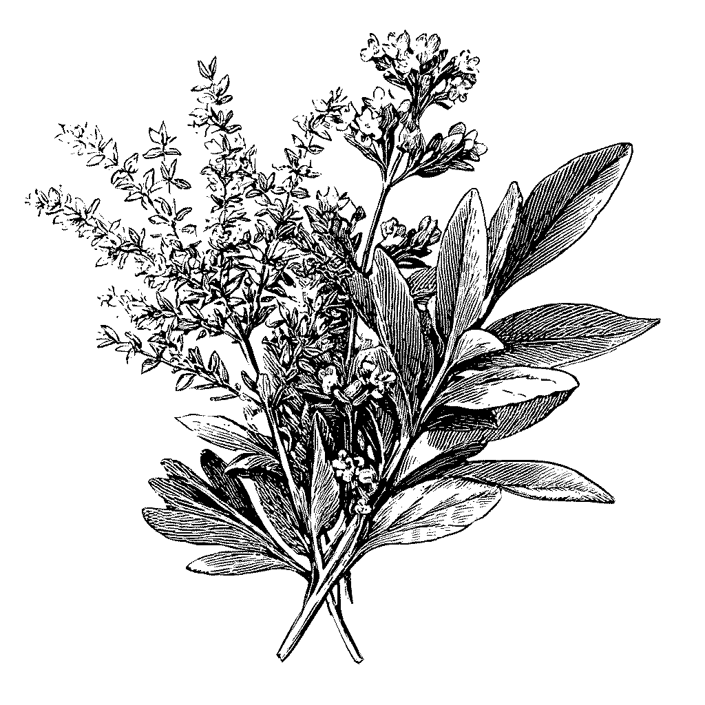 Illustration d’un bouquet garni ficelé