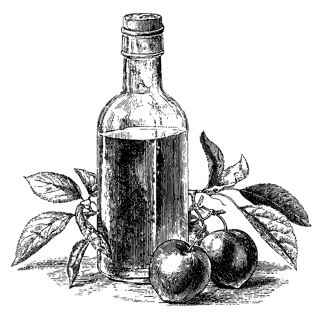 Illustration d'une bouteille de jus de prunes