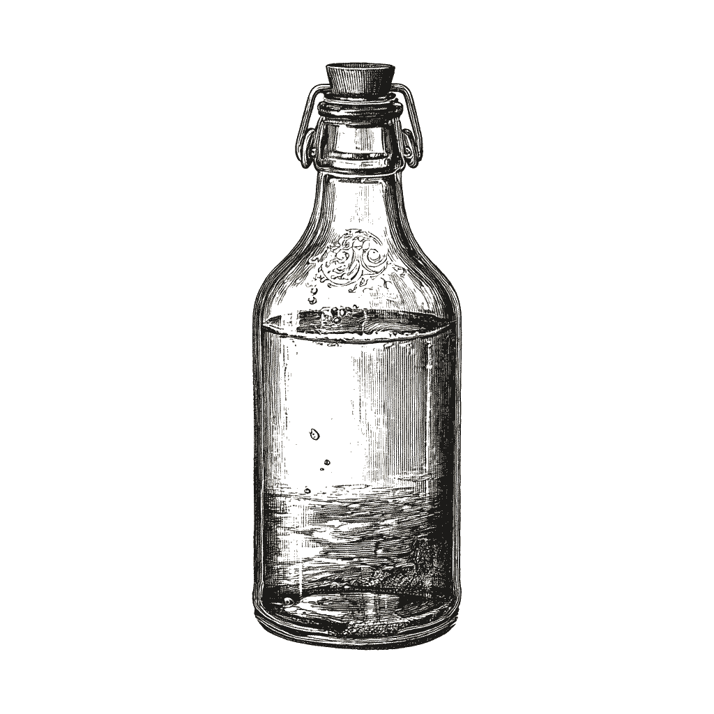 Illustration d’une bouteille de limonade de fleurs de sureau pétillante