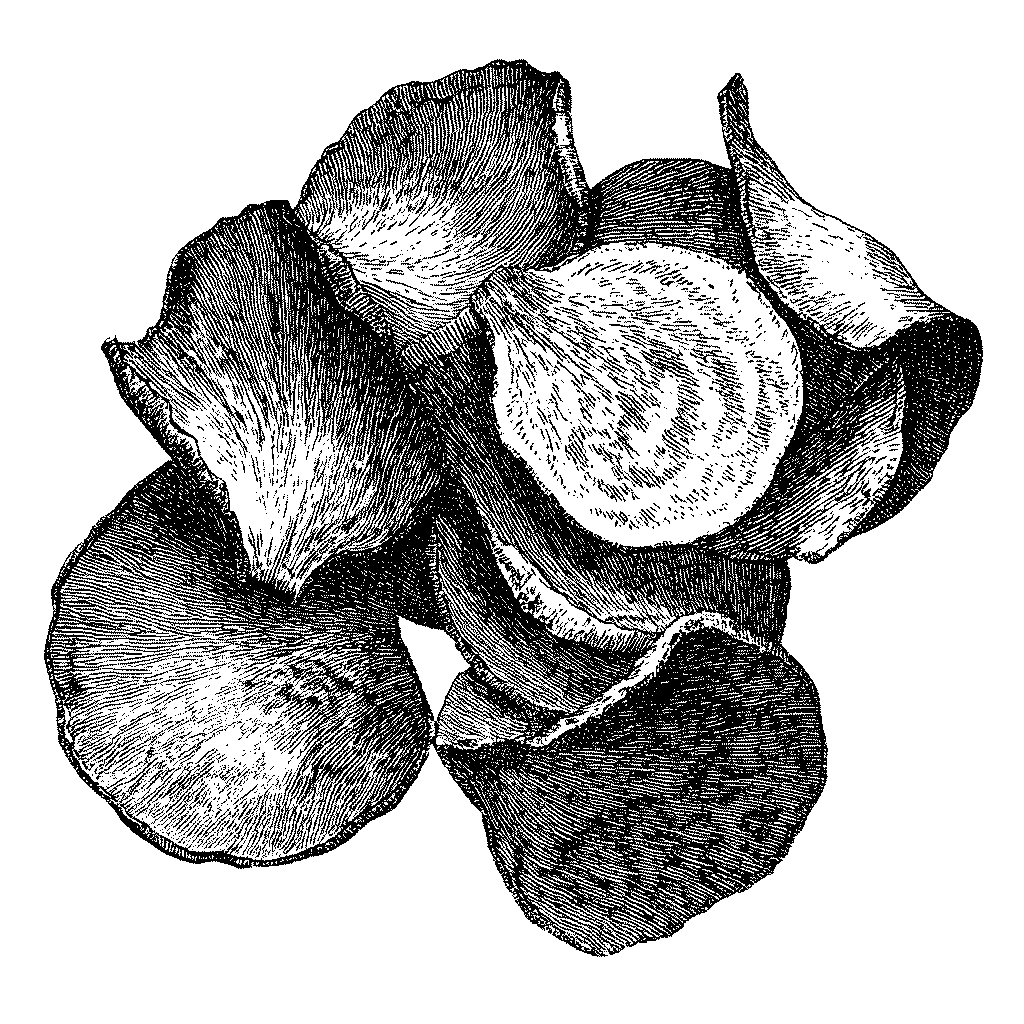 Illustration de chips de betterave croustillantes