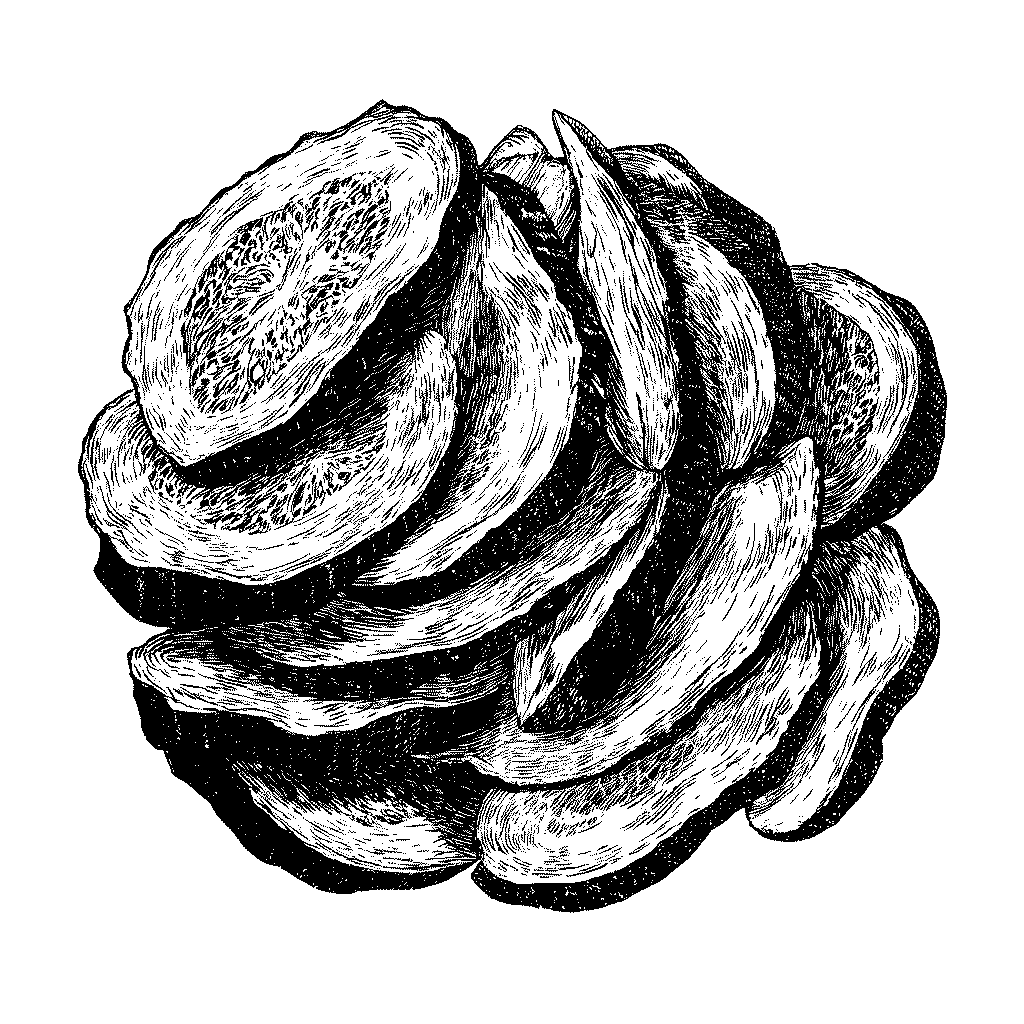 Concombres séchés