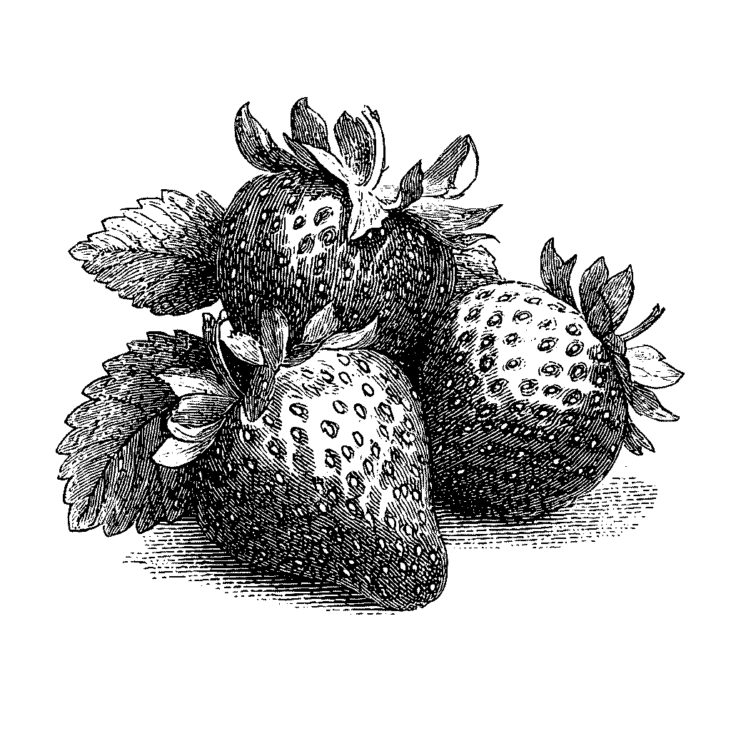 Illustration de fraises mûres