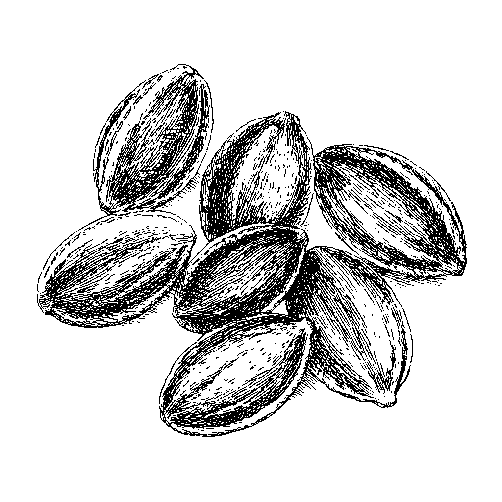 Illustration de graines de lin brunes