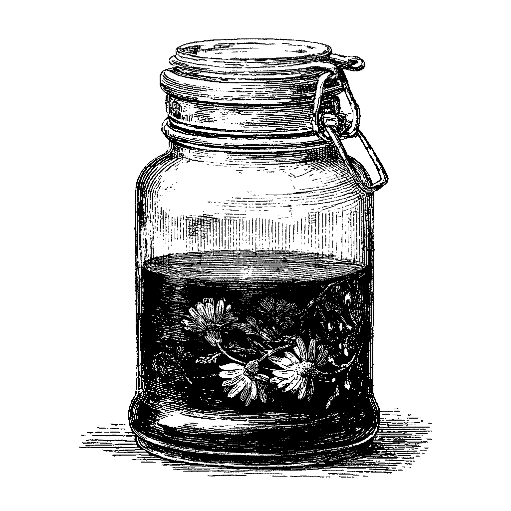 Illustration d’un bocal de macérat huileux de pâquerette