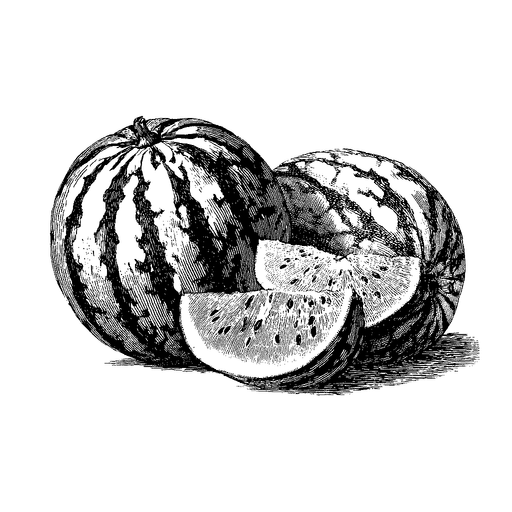 Illustration de pastèques