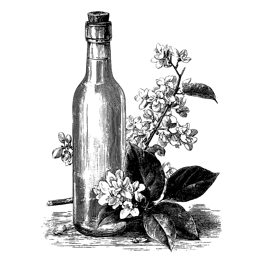 Pétillant de fleurs de robinier