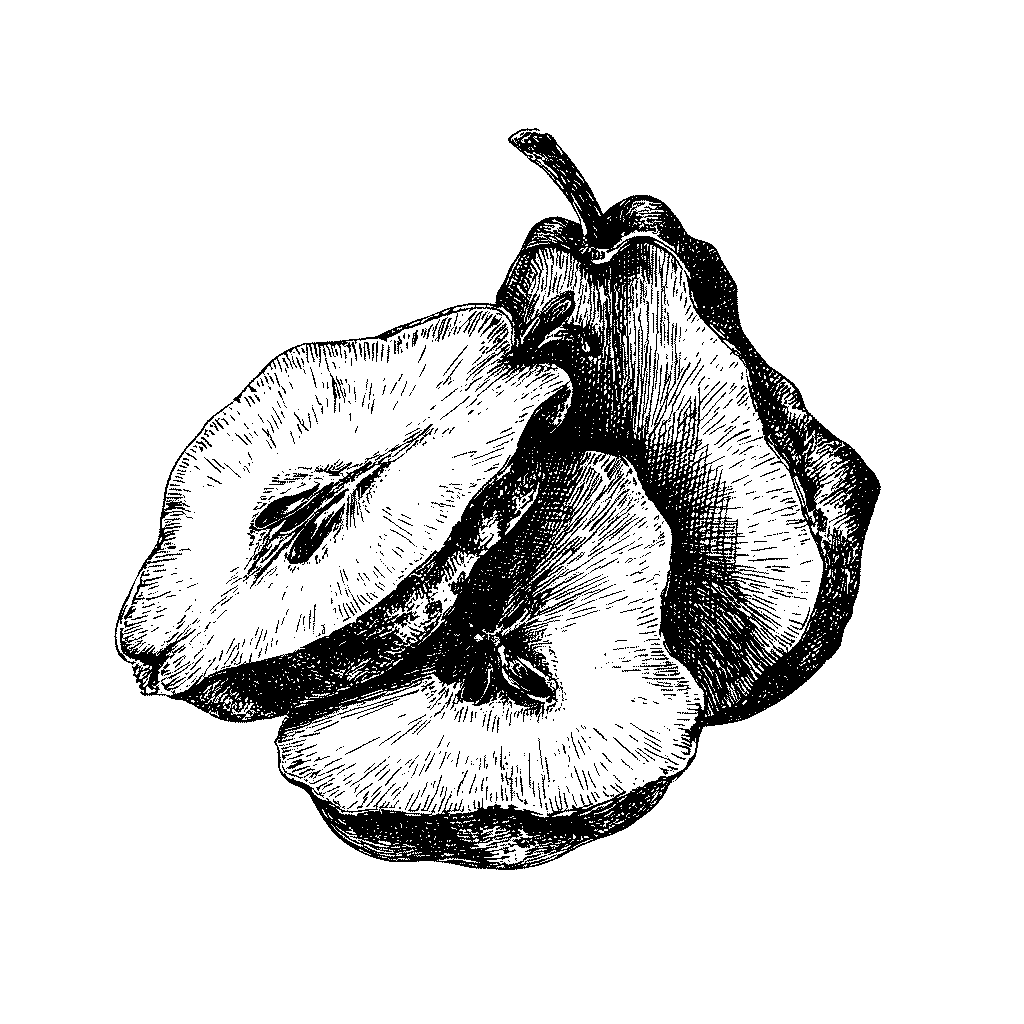 Illustration de tranches de poires séchées