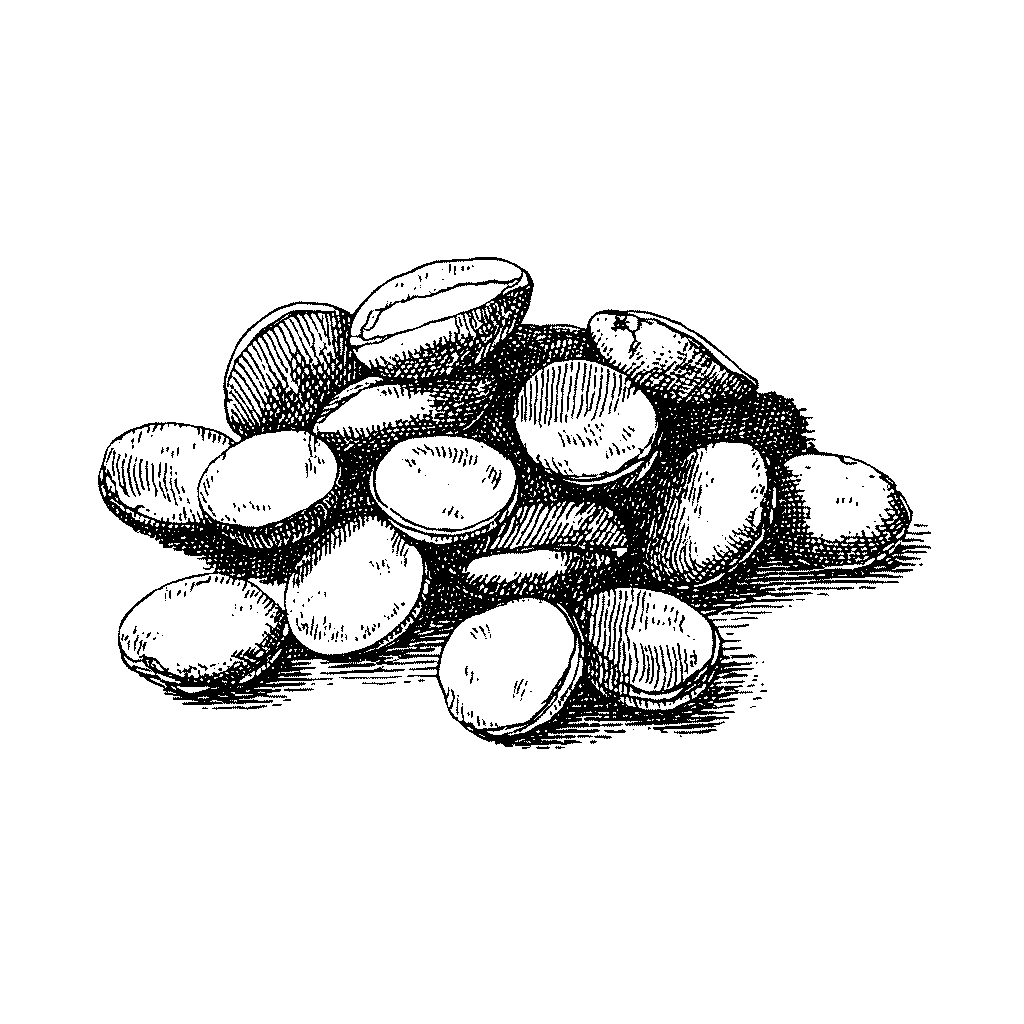 Illustration de pois cassés verts secs