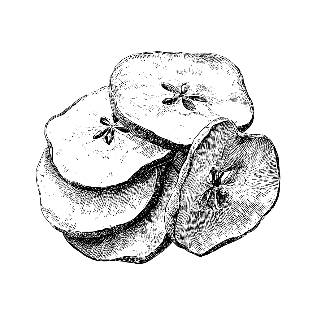 Illustration de pommes séchées
