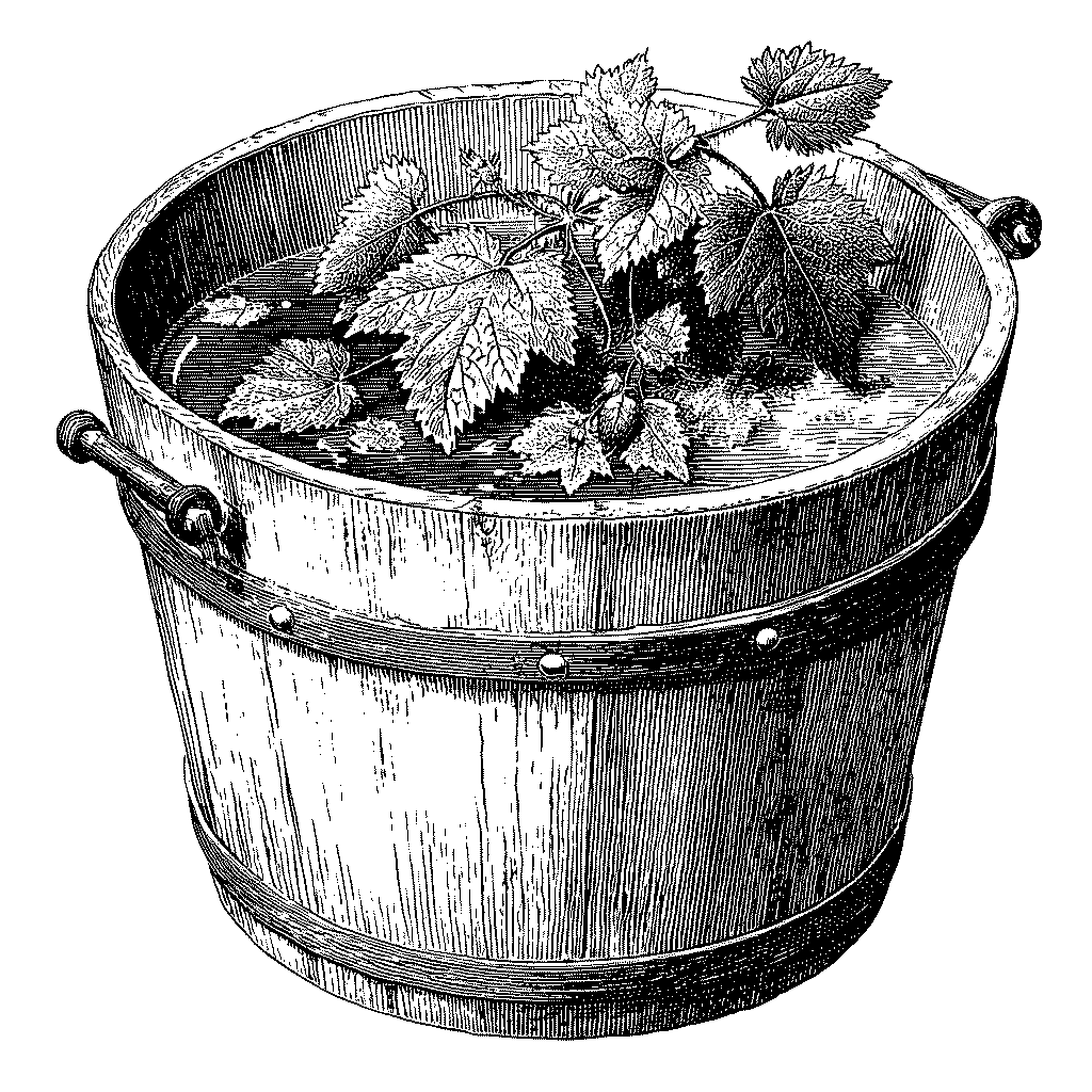 Illustration d’un purin d’ortie en fermentation
