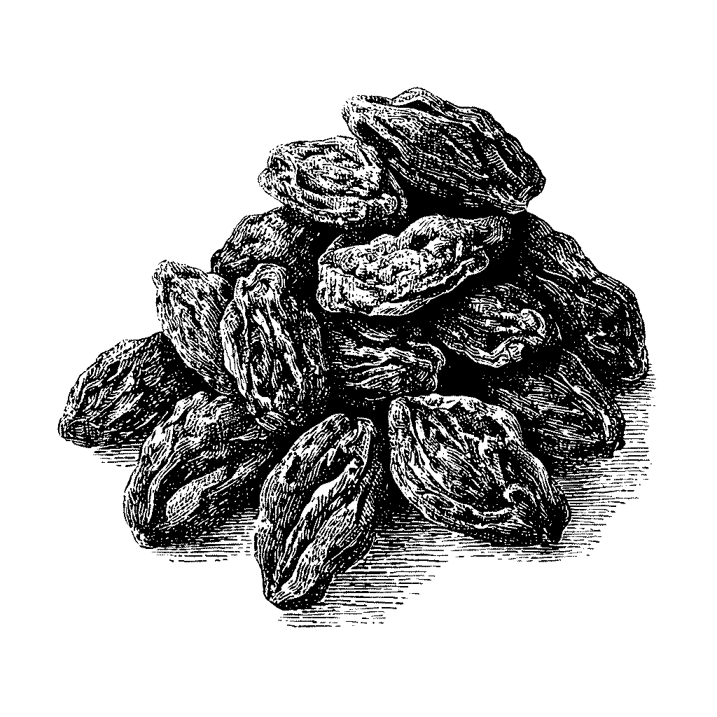 Illustration de raisins secs