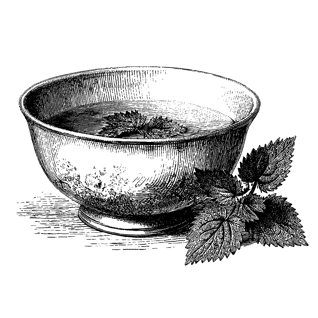 Illustration d’une soupe d’ortie traditionnelle