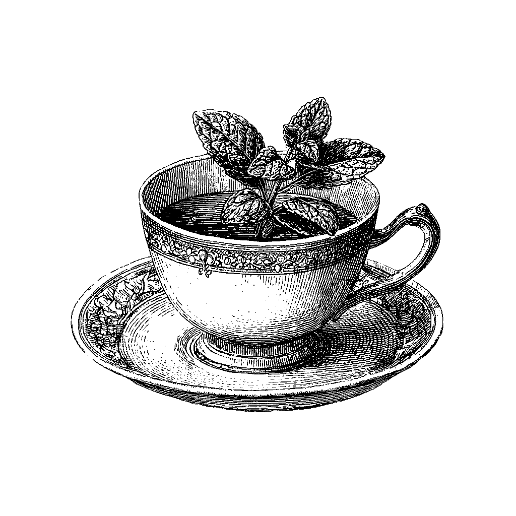 Illustration d’un verre de thé à la menthe
