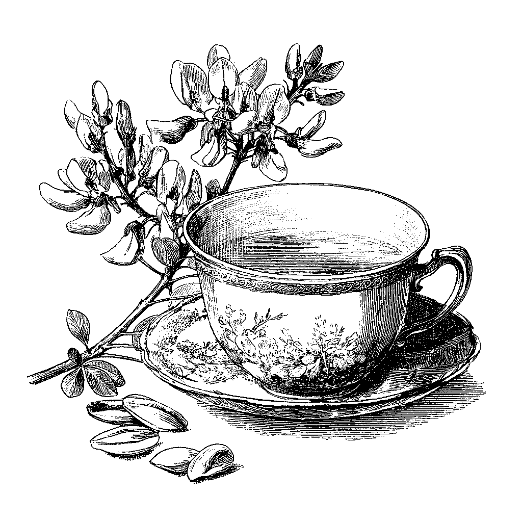 Illustration d’une tisane de fleurs de robinier